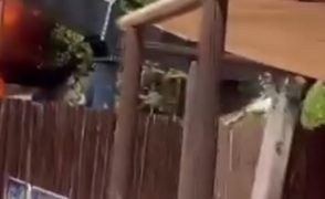 Incendio a Gardaland, il video delle fiamme