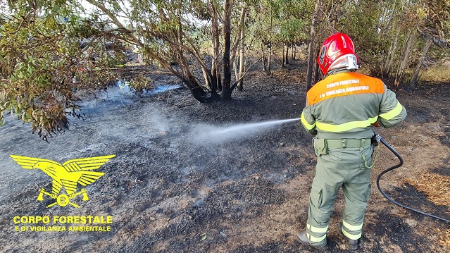 Incendio a Samassi, intevento dell’ elicottero della Forestale