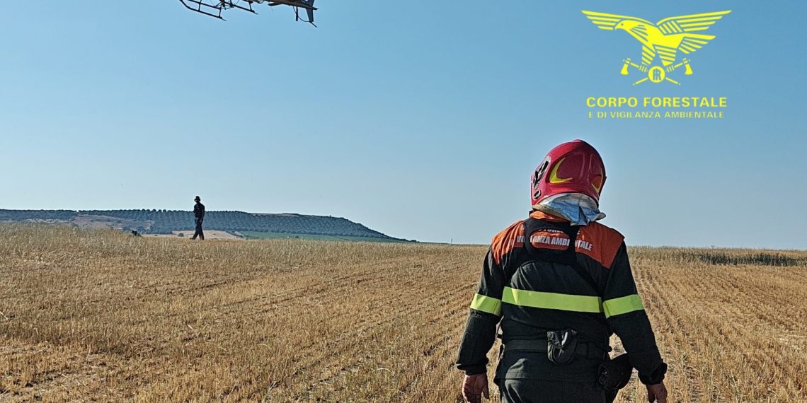 Fiamme a Florinas, in azione due elicotteri