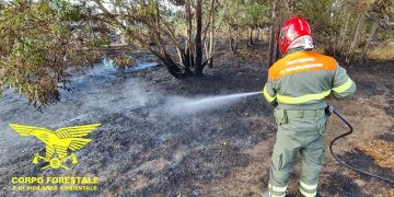 Vento e caldo alimentano le fiamme, incendi a Furtei e Teulada