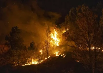 Bosco in fiamme in Spagna, almeno 12 morti