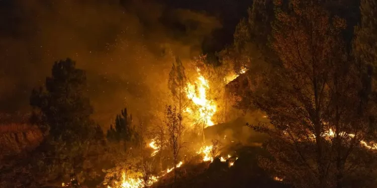 Bosco in fiamme in Spagna, almeno 12 morti