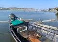 Tartaruga Caretta Caretta intrappolata in una rete soccorsa nell’Oristanese