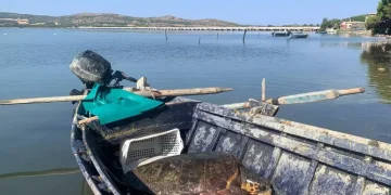 Tartaruga Caretta Caretta intrappolata in una rete soccorsa nell’Oristanese