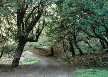 Ambiente: 56,8 milioni per parchi, verde e coste. La Sardegna investe sull’infrastruttura naturale
