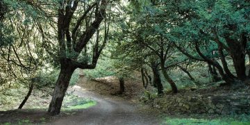 Ambiente: 56,8 milioni per parchi, verde e coste. La Sardegna investe sull’infrastruttura naturale