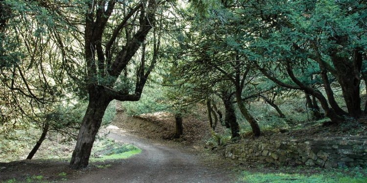 Ambiente: 56,8 milioni per parchi, verde e coste. La Sardegna investe sull’infrastruttura naturale