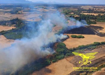 Fiamme a Siniscola, Serramanna e S. N. D’Arcidano: presenti i mezzi aerei