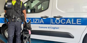Polizia Locale, arriva la nuova unità cinofila: Victor al servizio di Cagliari
