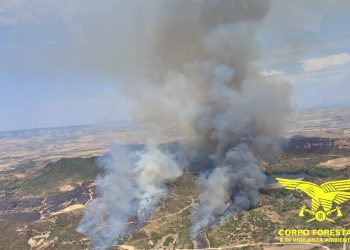 Inferno di fuoco in Sardegna, incendi a Talana, Macomer e Serrenti. A Furtei due canadair