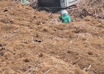 Discarica a cielo aperto lungo la Statale 195 nel lato mare