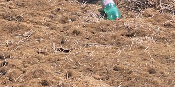 Discarica a cielo aperto lungo la Statale 195 nel lato mare