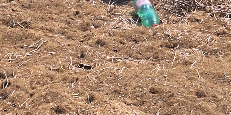 Discarica a cielo aperto lungo la Statale 195 nel lato mare