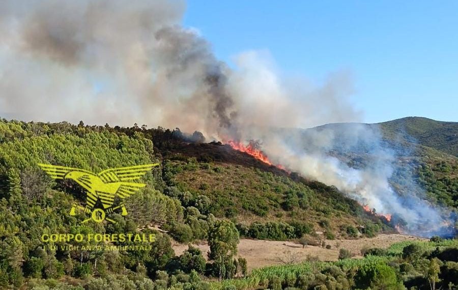Fiamme a Senorbì e Monserrato: in azione gli elicotteri