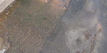 Vergogna a Capoterra, da oltre un mese una perdita d’acqua: “Abbanoa e il Comune se ne sbattono”