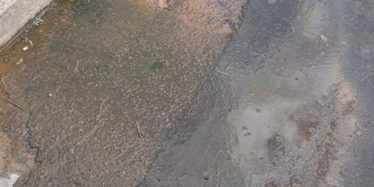Vergogna a Capoterra, da oltre un mese una perdita d’acqua: “Abbanoa e il Comune se ne sbattono”