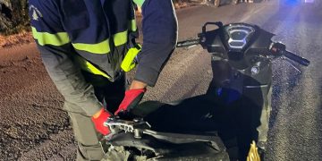 Paura a Cannigione, un motociclo investe un cinghiale: due feriti