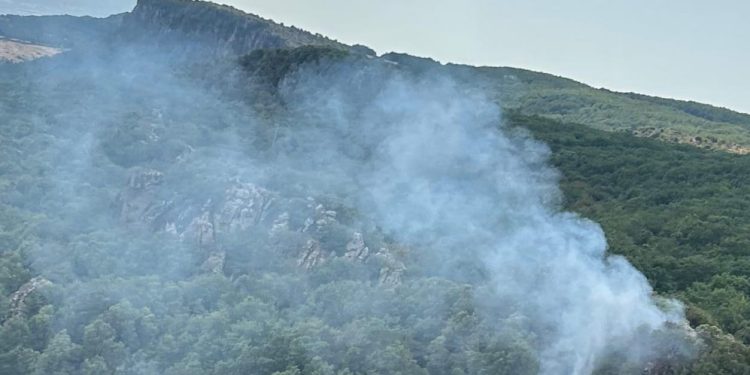 Fiamme a Lei, in azione un elicottero della Forestale