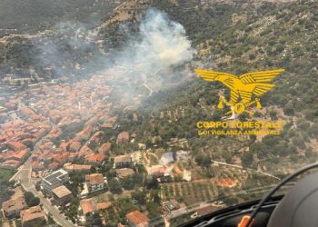 Paura a Bottidda, le fiamme vicino all’abitato: 4 nuclei familiari evacuti