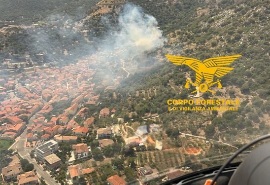 Paura a Bottidda, le fiamme vicino all’abitato: 4 nuclei familiari evacuti