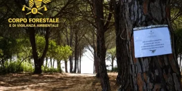 Troppe auto nel parcheggio, sigilli alla pineta Su Barone di Orosei