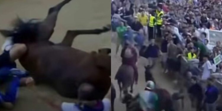 Caduta di fantino e cavallo, il Palio di Siena nella bufera degli animalisti