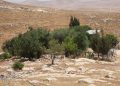 Malta chiede una condanna a livello UE degli insediamenti israeliani nella Cisgiordania occupata