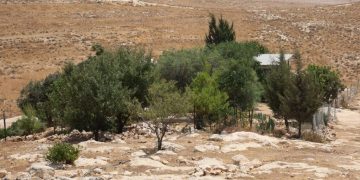 Malta chiede una condanna a livello UE degli insediamenti israeliani nella Cisgiordania occupata