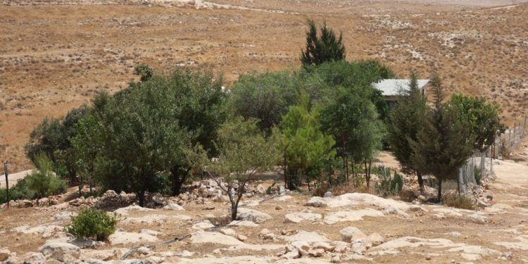 Malta chiede una condanna a livello UE degli insediamenti israeliani nella Cisgiordania occupata