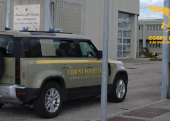 Sorpreso ad appiccare il fuoco, allevatore arrestato nell’Oristanese
