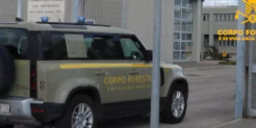 Sorpreso ad appiccare il fuoco, allevatore arrestato nell’Oristanese