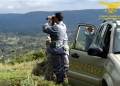 Bracconaggio, armi clandestine e droga, sgominata banda nel sud Sardegna