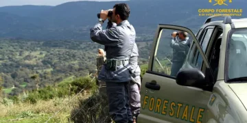 Bracconaggio, armi clandestine e droga, sgominata banda nel sud Sardegna