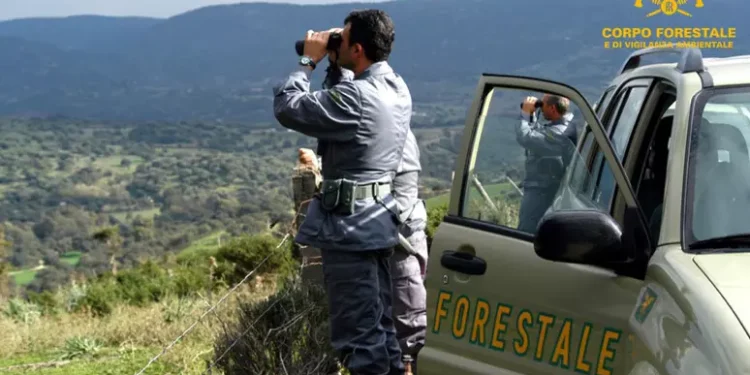 Bracconaggio, armi clandestine e droga, sgominata banda nel sud Sardegna