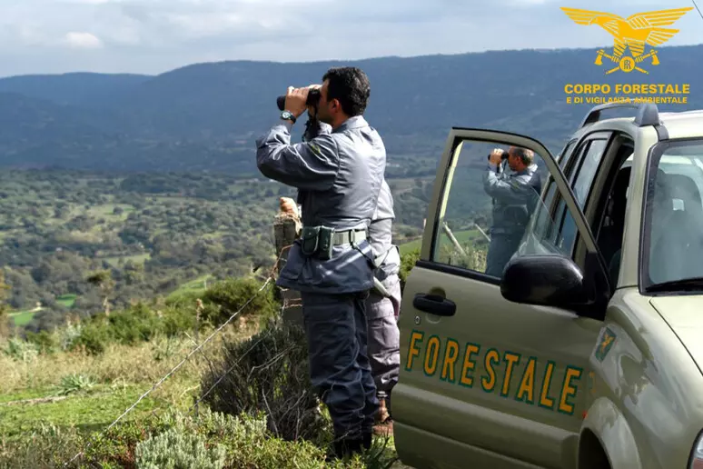 Bracconaggio, armi clandestine e droga, sgominata banda nel sud Sardegna