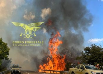 Vasto incendio a Pattada, due elicotteri sul posto