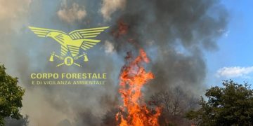 Vasto incendio a Pattada, due elicotteri sul posto