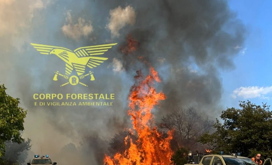Vasto incendio a Pattada, due elicotteri sul posto