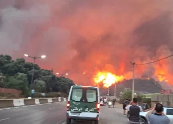 Incendi boschivi in Algeria, almeno 12 morti