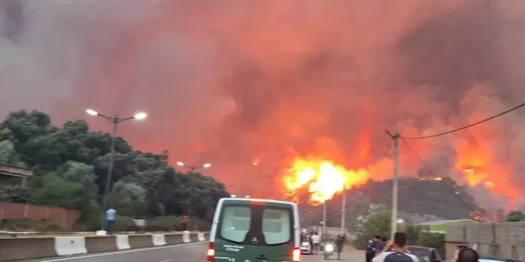 Incendi boschivi in Algeria, almeno 12 morti
