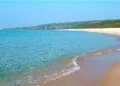 Sequestrati ombrelloni, sdrai e surf lasciati di notte in spiaggia Badesi