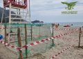 Una tartaruga marina sceglie la spiaggia di Foxi Manna di Tertenia per la deposizione delle uova