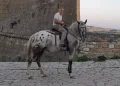 ‘Troppo caro usare l’auto, vado al lavoro con il cavallo’