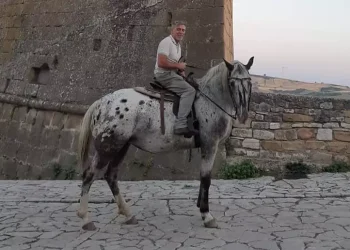 ‘Troppo caro usare l’auto, vado al lavoro con il cavallo’