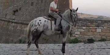 ‘Troppo caro usare l’auto, vado al lavoro con il cavallo’