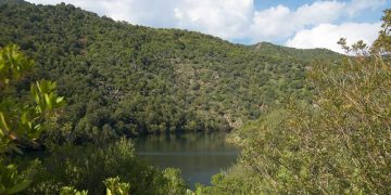 Ambiente: Parco di Gutturu Mannu, la Giunta adotta il Piano