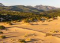 Ambiente: “DEFR 2027–2029, assessora Laconi: “Proteggere l’ambiente significa custodire il futuro della Sardegna”