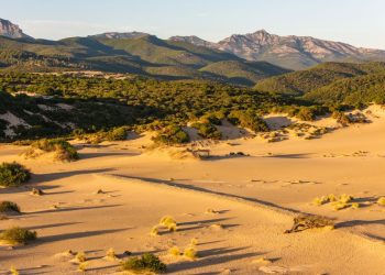 Ambiente: “DEFR 2027–2029, assessora Laconi: “Proteggere l’ambiente significa custodire il futuro della Sardegna”