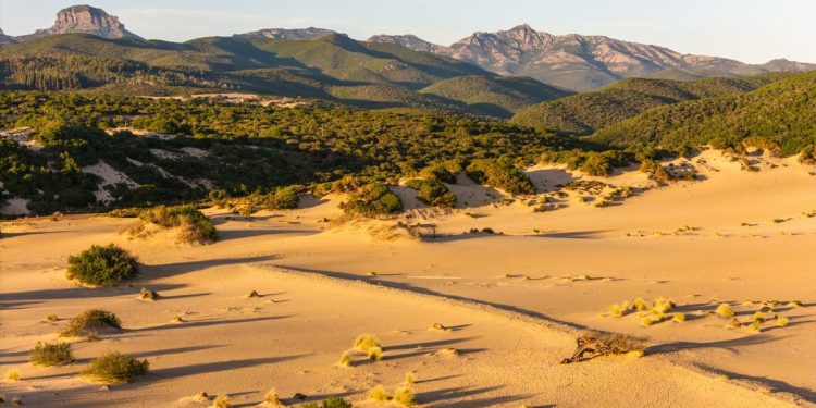 Ambiente: “DEFR 2027–2029, assessora Laconi: “Proteggere l’ambiente significa custodire il futuro della Sardegna”