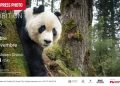 Dal 9 ottobre il MuA – Museo e Archivio di Sinnai ospita una tappa del tour internazionale della World Press Photo Exhibition 2026